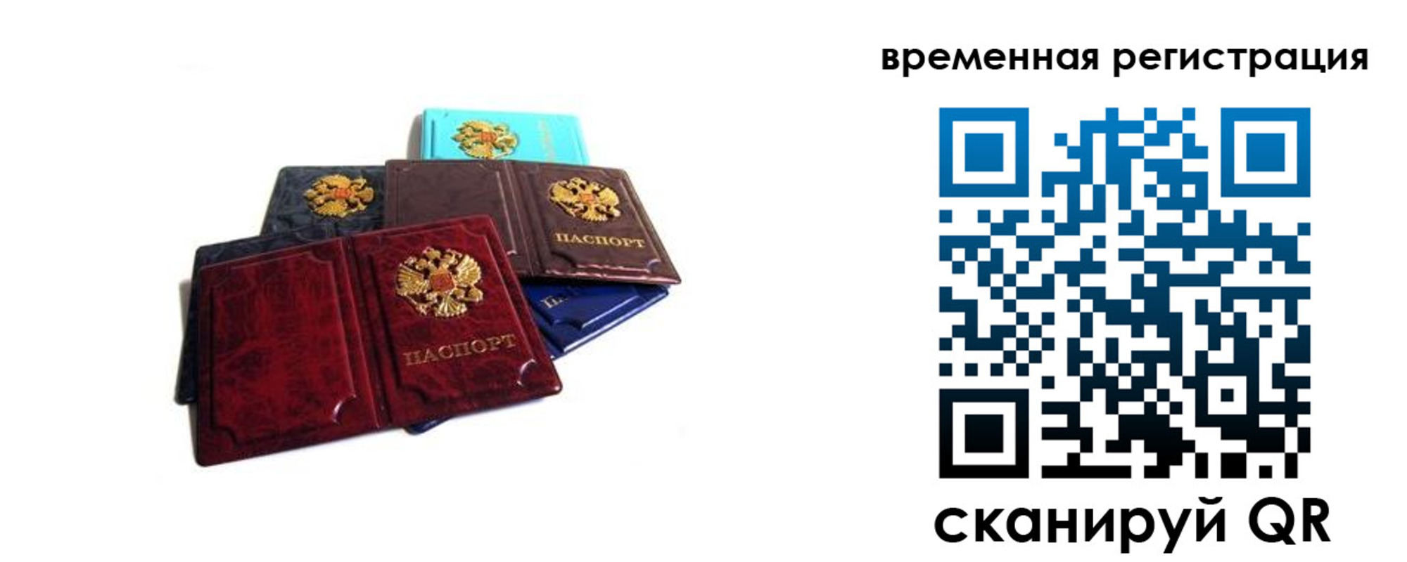 прописка гарантия в Борзе